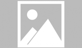 青青青草原在线视频,探寻草原生态魅力